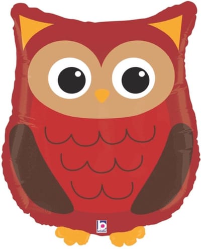 Folie ballon Uil/Owl - 66cm