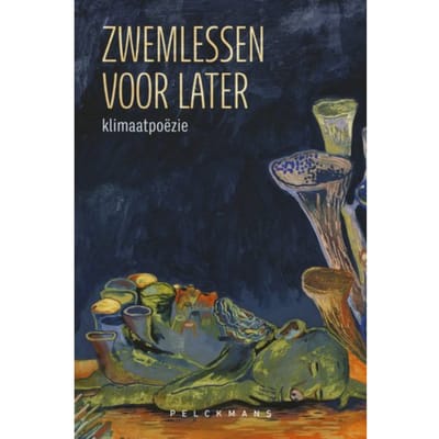 Zwemlessen Voor Later