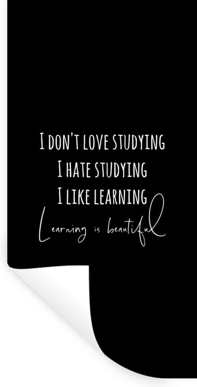Muurstickers - Sticker Folie - Quote - Studeren - Leren - 40x80 cm - Plakfolie - Muurstickers Kinderkamer - Zelfklevend Behang - Zelfklevend behangpapier - Stickerfolie