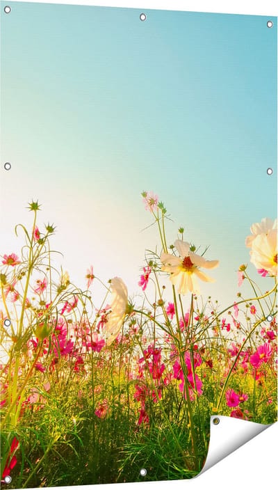 Gards Tuinposter Kosmos Bloemenveld met een Opkomende Zon - 80x120 cm - Tuindoek - Tuindecoratie - Wanddecoratie buiten - Tuinschilderij