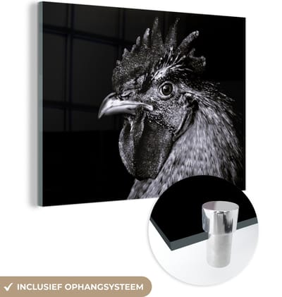 MuchoWow® Glasschilderij 160x120 cm - Schilderij acrylglas - Haan - Vogel - Zwart - Wit - Foto op glas - Schilderijen