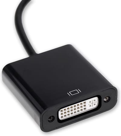 New Age Devi - DisplayPort Male naar DVI Female kabel - 20cm
