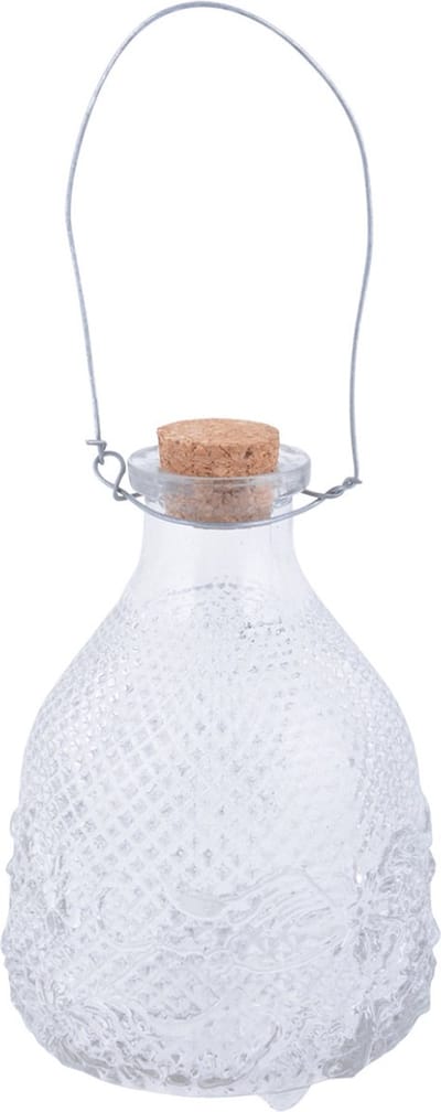 Wespenvanger/wespenval transparant glas 14 cm - Insectenvangers/insectenvallen