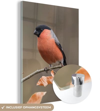 MuchoWow® Glasschilderij 30x40 cm - Schilderij acrylglas - Vogel - Bladeren - Herfst - Goudvink - - Foto op glas - Schilderijen