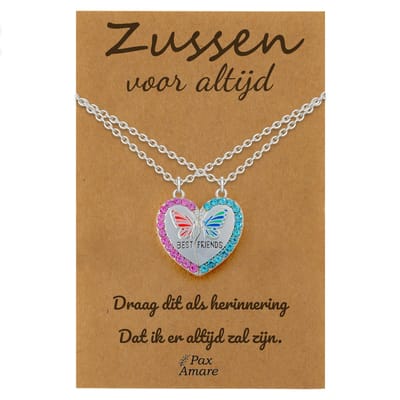 BFF Ketting voor 2 'Zussen voor altijd' - Magnetisch Hartje met Vlinder - Vriendschapsketting op Cadeau Kaartje - 45cm + 5cm verstelbaar - Zilverkleurig - Sisters Hanger - Pax Amare