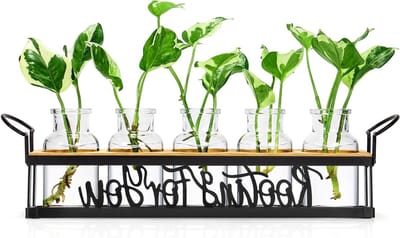 Plant Propagation Station met Metalen Stand, Retro Glazen Terrarium voor Hydroponics, Perfect voor Thuis, Keuken en Kantoor Decoratie