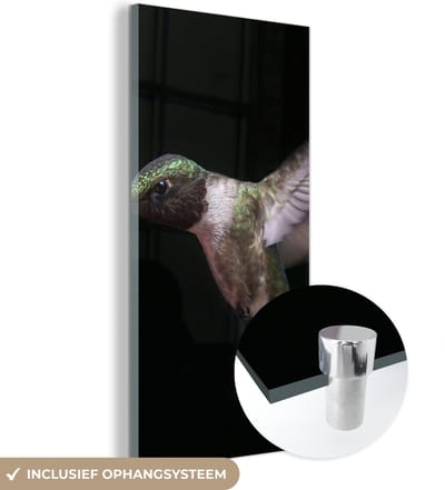 MuchoWow® Glasschilderij 20x40 cm - Schilderij acrylglas - Kolibrie - Vogel - Veren - Foto op glas - Schilderijen
