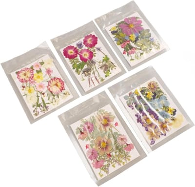 MK Stoer - Geperste Bloemen - Gedroogde Bloemen - Rijke Details - Levendige Kleuren - 5 Zakjes Voor Decoratie (Type 2)