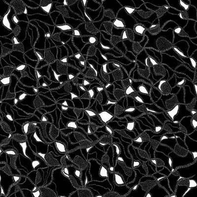 Gary War & Purple Pilgrims - Split (LP)