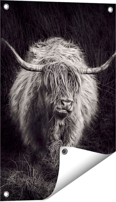 Gards Tuinposter Schotse Hooglander Koe - Zwart Wit - 40x60 cm - Tuindoek - Tuindecoratie - Wanddecoratie buiten - Tuinschilderij