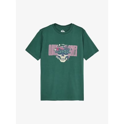 Quiksilver Paradise Point T-shirt Met Korte Mouwen Groen 12 Years Jongen