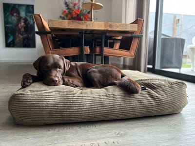 Dog's Companion Hondenkussen / Hondenbed - M - 90 x 70 cm - Olive Giant Ribcord