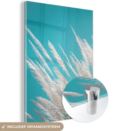 MuchoWow® Glasschilderij 30x40 cm - Schilderij acrylglas - Pampasgras - Plant - Plant - Foto op glas - Schilderijen