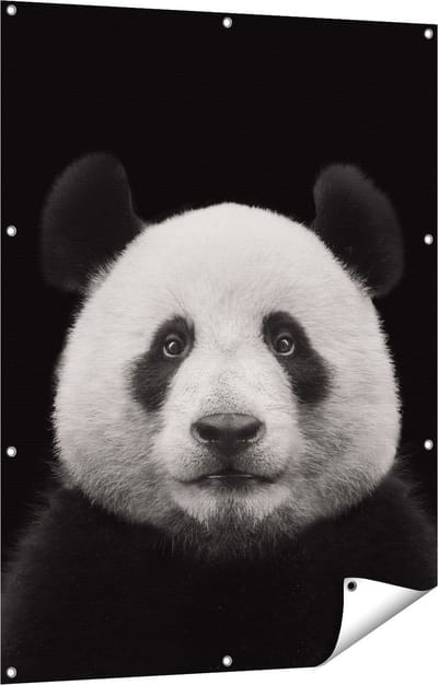 Gards Tuinposter Panda - Pandakop - 90x120 cm - Tuindoek - Tuindecoratie - Wanddecoratie buiten - Tuinschilderij