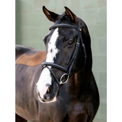 Hoofdstellen voor paarden LeMieux Flash Arika