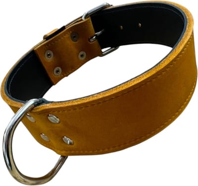 K9World by van der Veeke, Lederen Hondenhalsband – 5 cm Breed – Dubbel Leer – Handgemaakt – Cognac Bruin– Maat 40–50 cm