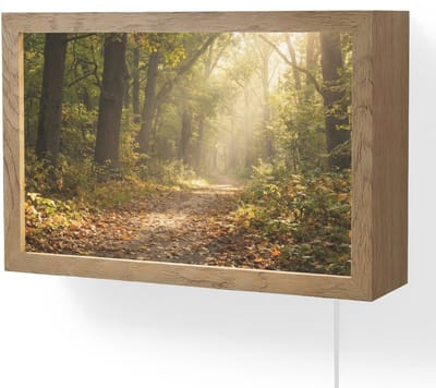 Wandlamp 30x20 cm - Oplaadbaar - Zonlicht - Bospad - Bomen - Wandlampen binnen woonkamer - Slaapkamer lamp met kabel - Decoratieve nachtlamp - Vloerlamp snoer