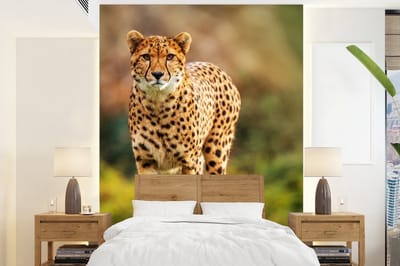 Behang - Fotobehang Wilde dieren - Gras - Luipaard - Natuur - Breedte 205 cm x hoogte 280 cm