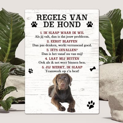 Spreuken - Labrador bruin - Regels Van De Hond - Spreuken Bordjes - Spreukenbord - Tekstborden - Cadeau - Hondenras