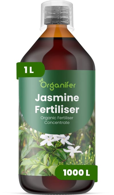 Vloeibare Meststof Voor Jasmine 1 L Voor 1000 L - Npk 2-1-8 - Overvloedige - Geurende Bloei Bij Alle - Jasmijnsoorten - Rankgroei - Vertakking - Structurele Stabiliteit - Glanzend Blad - Intense Kleur - Siergroei - Organifer