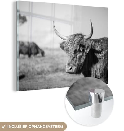 MuchoWow® Glasschilderij 160x120 cm - Schilderij acrylglas - Schotse Hooglander - Dieren - Zwart - Wit - Foto op glas - Schilderijen
