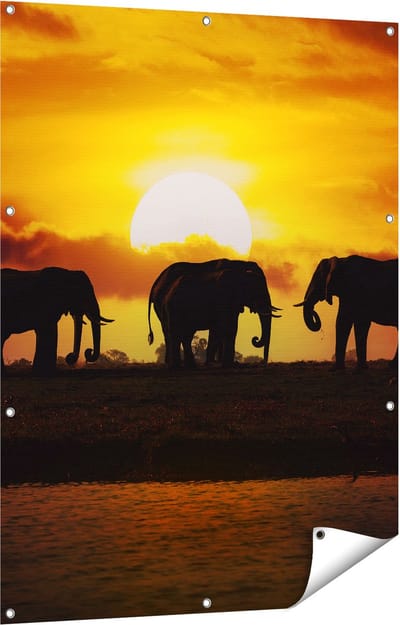 Gards Tuinposter Silhouet Olifanten tijdens Zonsondergang - 90x120 cm - Tuindoek - Tuindecoratie - Wanddecoratie buiten - Tuinschilderij