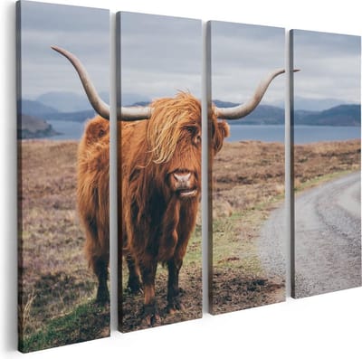 Artaza Canvas Schilderij Vierluik Schotse Hooglander Koe Op De Weg - 80x60 - Foto Op Canvas - Canvas Print