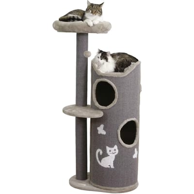 Kattenboom Kerbl Tiana