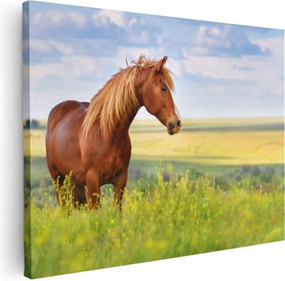 Artaza Canvas Schilderij Paard In Weiland - 40x30 cm - Klein - Wanddecoratie Dieren - Muurdecoratie Woonkamer - Kamer Accessoires Natuur