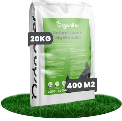 Kalk Korrel meststof verrijkt met magnesium (20Kg - Voor 400m2) voor dieper bladgroen (+PH) Speciaal voor gazon, Perken, Moestuin en openbaar groen - Organifer