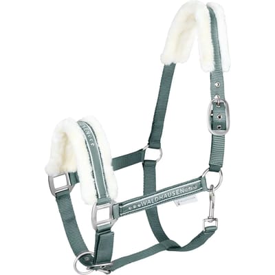 Halster voor paarden Waldhausen Elegant