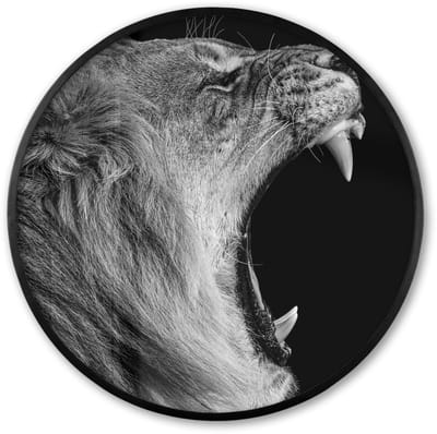 Poster in lijst Rond - Fotolijst 60x60 cm - Posters - Dieren - Leeuw - Zwart - Wit - Portret - Ronde posterlijst zwart - Decoratie - Wanddecoratie woonkamer - Muurdecoratie slaapkamer