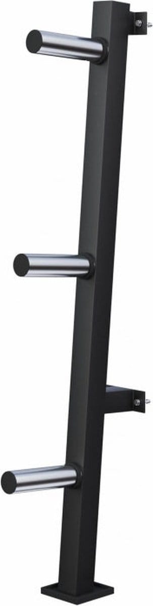 Gorillasports Halterschijven Standaard - Wandmontage 50 mm - Schijven opbergrek - Zwart