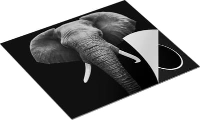 Chefcare Inductie Beschermer Olifantenkop - Olifant - Zwart Wit - 60x50 cm - Afdekplaat Inductie - Kookplaat Beschermer - Inductie Mat