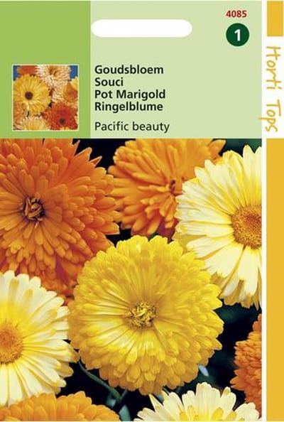 Hortitops Zaden - Calendula off. Pacific Beauty gemengd
