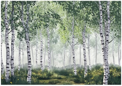 WALLARENA - Fotobehang - 150x105 cm - 3D afbeelding van berkenbomen in de natuur voor slaapkamer en woonkamer