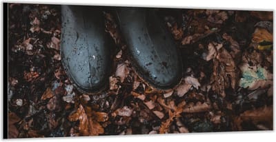 Dibond –Regenlaarzen in de Herfstbladeren– 200x100 Foto op Aluminium (Wanddecoratie van metaal)