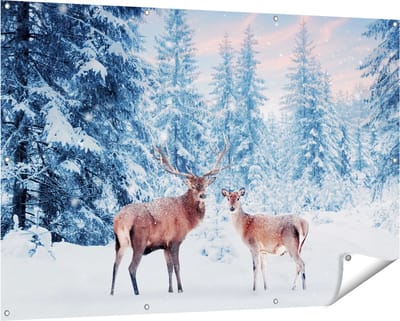 Gards Tuinposter Twee Herten in het Bos met Sneeuw - 150x100 cm - Tuindoek - Tuindecoratie - Wanddecoratie buiten - Tuinschilderij