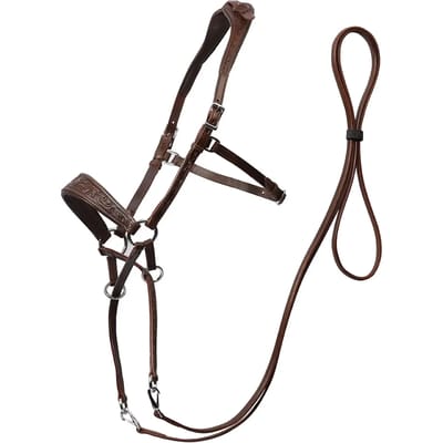 Bitloze hoofdstellen voor paarden Edix Saddles ED1-Rose