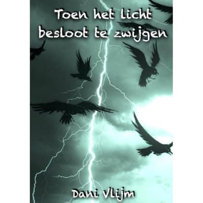 Toen Het Licht Besloot Te Zwijgen - Dani Vlijm