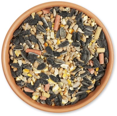 CJ Wildlife 2,5kg Premium Voedertafelmix - Met vet pellets - Vogelvoer voor Buitenvogels & Tuinvogels - Tuinvogelvoer voor Voedertafel - Rijk aan Eiwitten & Vrij van Zout