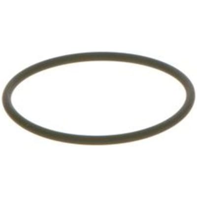 Element CR pomp  BOSCH F 00N 202 130