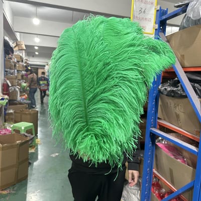10 STUKS Licht Kaki Grote Struisvogelveren Bulk 15-60CM Lang Natuurlijke Pluizige Struisvogelveren voor Bruiloft Restaurant Vaas Decoratie 15-20cm 6-8inch grasgroene kleur