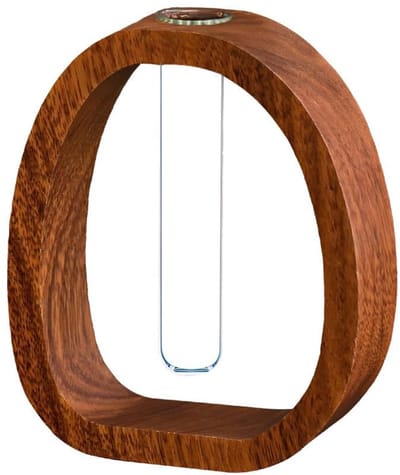Dailygoods- Vaas massief hout - Reageerbuisvorm - Multifunctioneel gebruik - Ruimtebesparend - Voor bloemen/takken - Decoratie thuis/kantoor - Bloemenvase