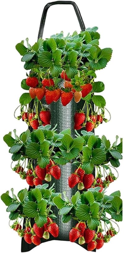 Kweekzakken Aardbeien - Plantenbakken Groenten - Moestuinieren Buiten - Verbeterde Luchtdoorlatendheid - 8 Gaten - Donkergroen