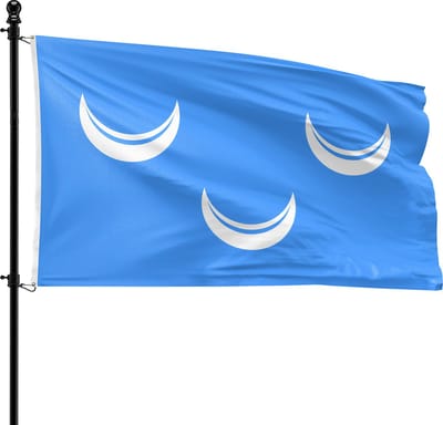 VlagDirect - Wassenaar vlag - Gemeente Wassenaar vlag - 90 x 150 cm.