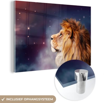 MuchoWow® Glasschilderij 60x40 cm - Schilderij acrylglas - Leeuwen - Sterrenhemel - Kleuren - Foto op glas - Schilderijen