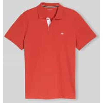 Tom Tailor - Piqué poloshirt met geborduurd logo - Maat XXXL - Chili Orange