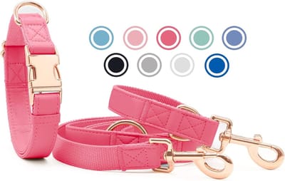 lederen hondenhalsband en riem (2m) set - 3-voudig verstelbare hondenriem met halsband, stijlvolle roze gouden metalen gesp & nylon hondenriem voor puppy's, kleine, middelgrote en grote honden