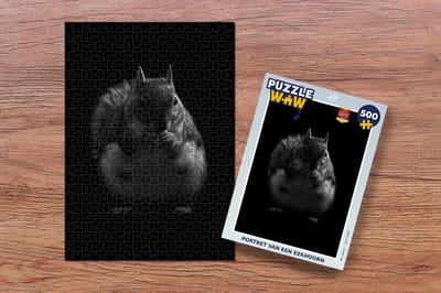 Puzzel Portret van een eekhoorn - Legpuzzel - Puzzel 500 stukjes